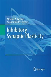Couverture_Inhibitory Synaptic Plasticity