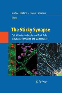 Couverture_The Sticky Synapse