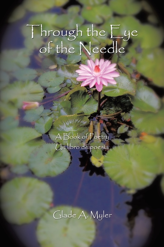 Front cover_Through the Eye of the Needle