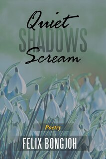 Front cover_Quiet Shadows Scream