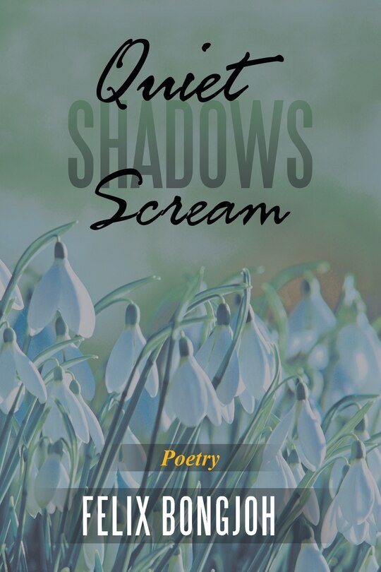 Front cover_Quiet Shadows Scream