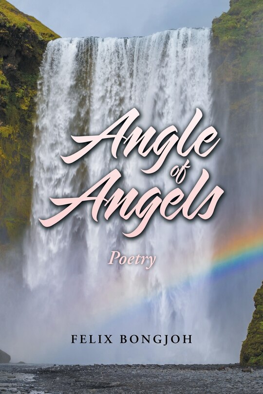 Couverture_Angle of Angels