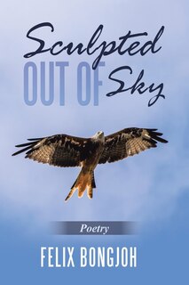 Front cover_Sculpted out of Sky