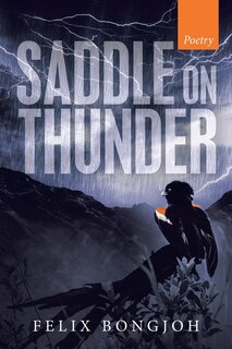 Couverture_Saddle on Thunder
