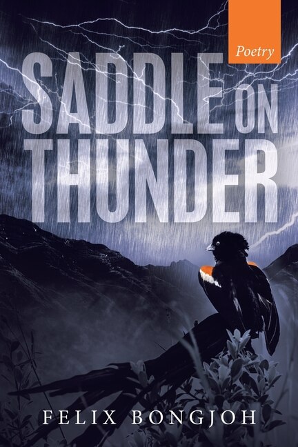 Couverture_Saddle on Thunder