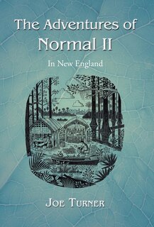 Couverture_The Adventures of Normal II