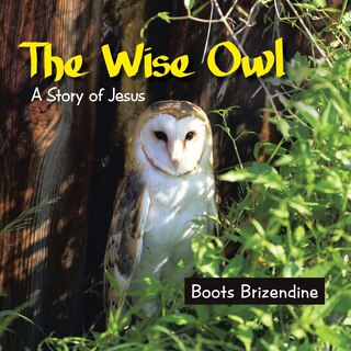 Front cover_The Wise Owl