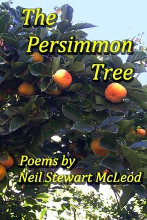 Front cover_The Persimmon Tree