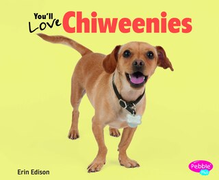 Couverture_You'll Love Chiweenies