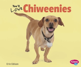 Couverture_You'll Love Chiweenies