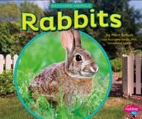 Couverture_Rabbits