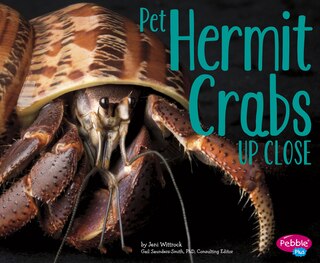 Front cover_Pet Hermit Crabs Up Close