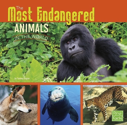 The Most Endangered Animals in the World