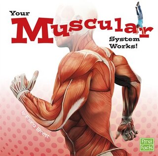 Your Muscular System Works!