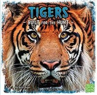Tigers: Built for the Hunt