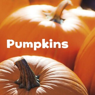 Couverture_Pumpkins