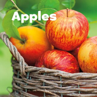 Couverture_Apples