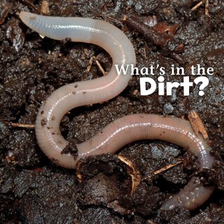 Front cover_What's in the Dirt?