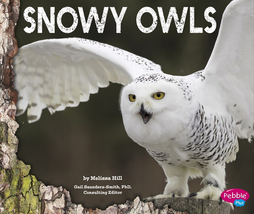 Front cover_Snowy Owls