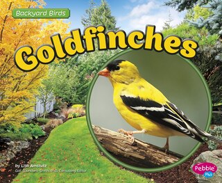 Couverture_Goldfinches