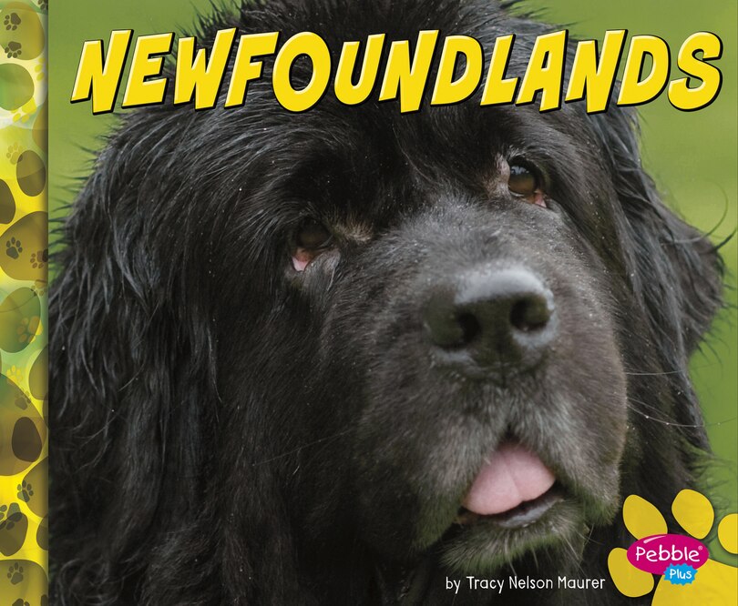 Couverture_Newfoundlands