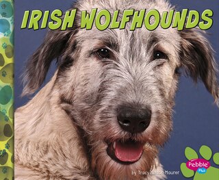 Couverture_Irish Wolfhounds