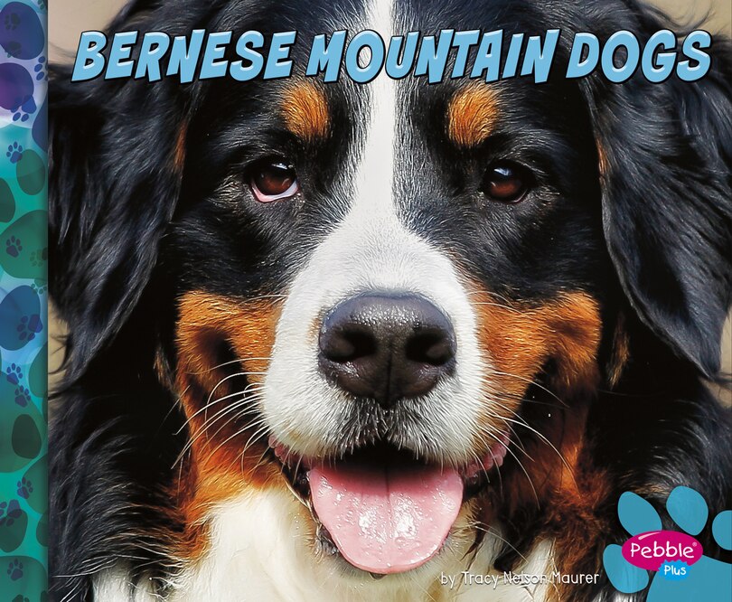 Front cover_Bernese Mountain Dogs