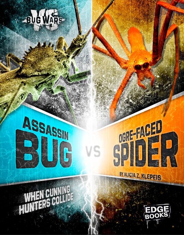 Assassin Bug vs. Ogre-Faced Spider: When Cunning Hunters Collide