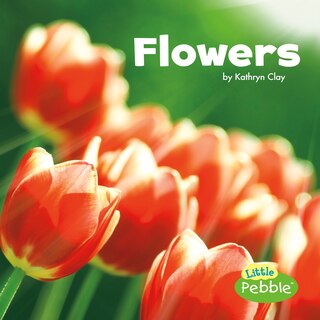 Front cover_Flowers