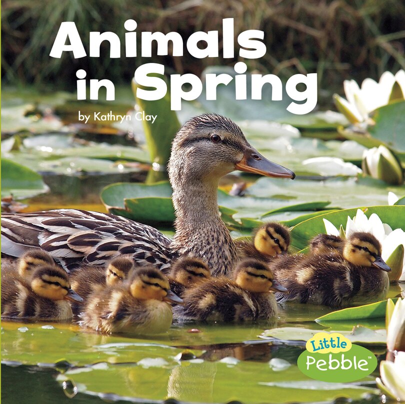 Front cover_Animals in Spring