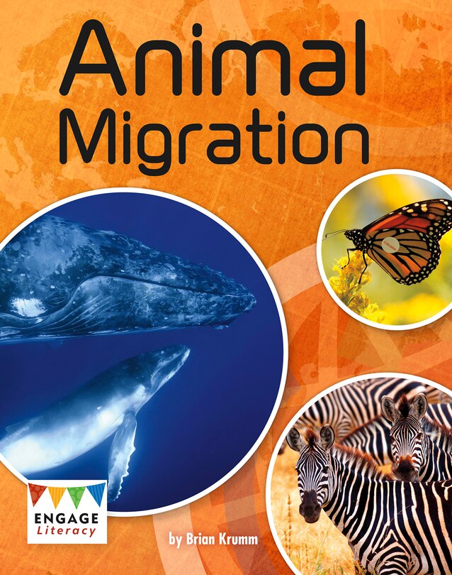 Front cover_Animal Migration
