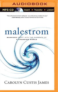 Malestrom: Manhood Swept Into The Currents Of A Changing World
