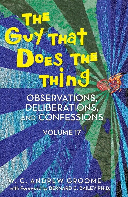 Couverture_The Guy That Does The Thing - Observations, Deliberations, and Confessions Volume 17