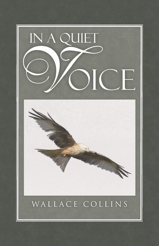 Front cover_IN A QUIET VOICE