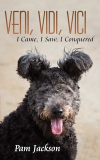 Front cover_Veni, Vidi, Vici