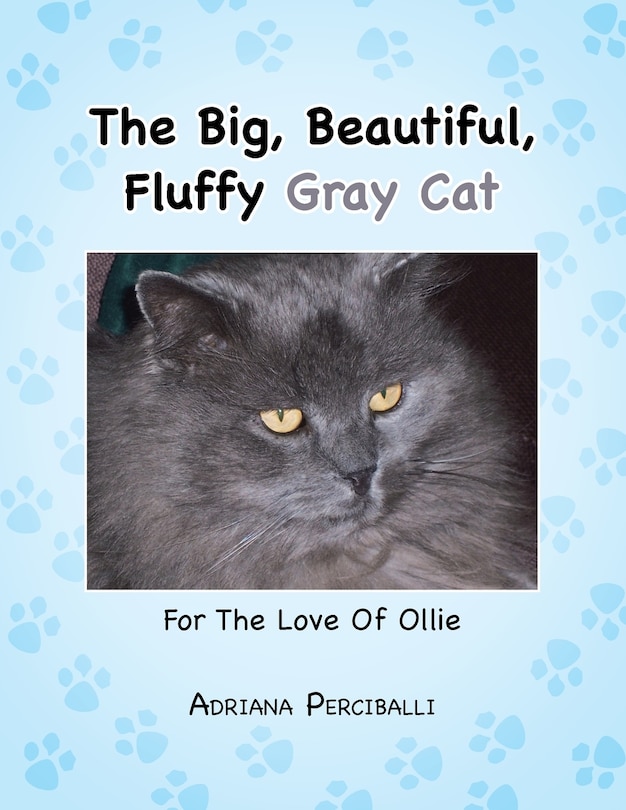 Couverture_The Big, Beautiful, Fluffy Gray Cat