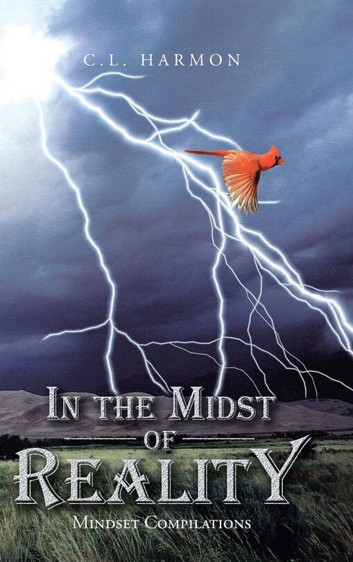 Front cover_In the Midst of Reality