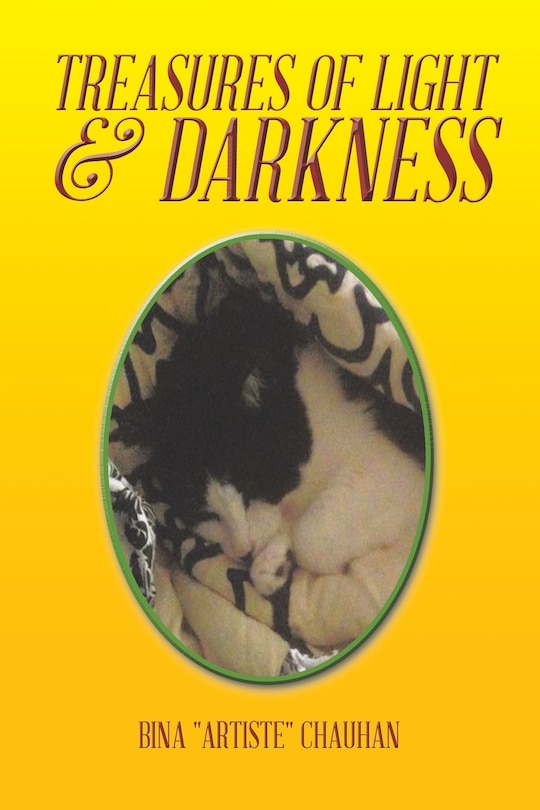 Front cover_Treasures of Light & Darkness