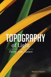 Couverture_Topography of Light