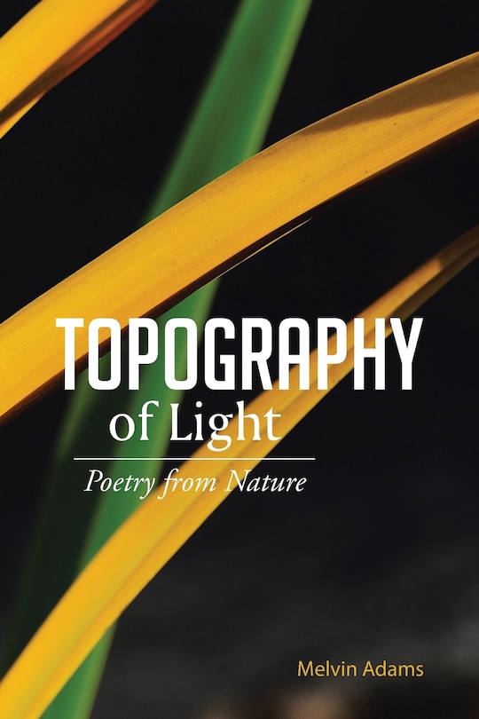 Couverture_Topography of Light