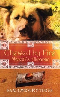 Front cover_Chewed by Fire