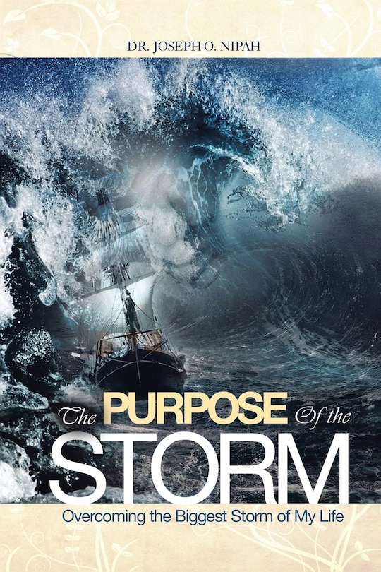 Couverture_The Purpose of the Storm