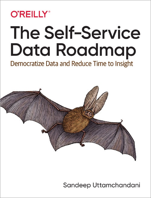 Front cover_The Self-service Data Roadmap
