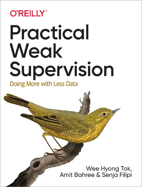 Couverture_Practical Weak Supervision