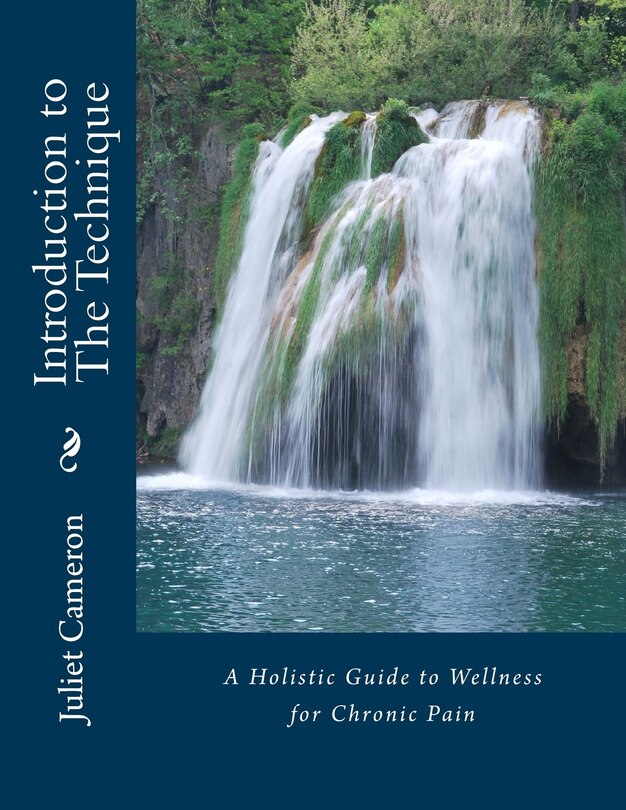 Introduction to The Technique: A Holistic Guide to Wellness for Chronic Pain