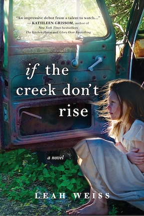 If The Creek Don't Rise: A Novel