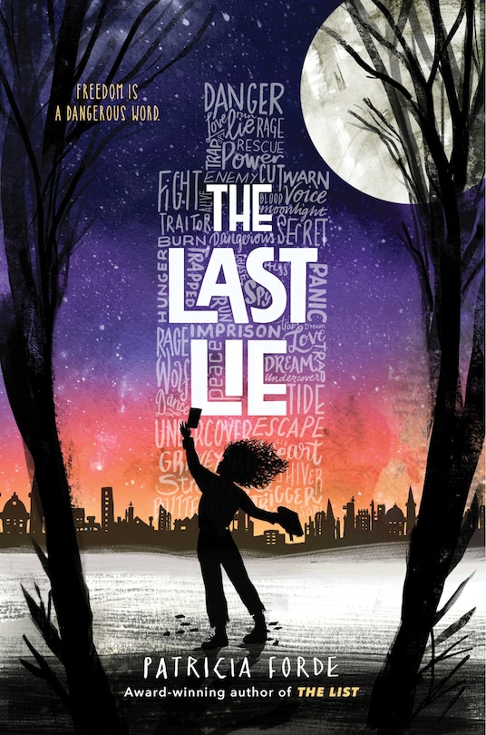 Couverture_The Last Lie