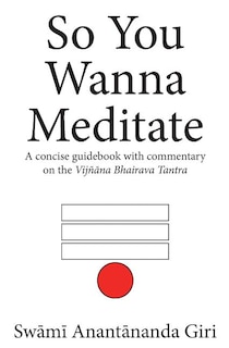 So You Wanna Meditate: A concise guidebook with commentary on the Vijnana Bhairava Tantra
