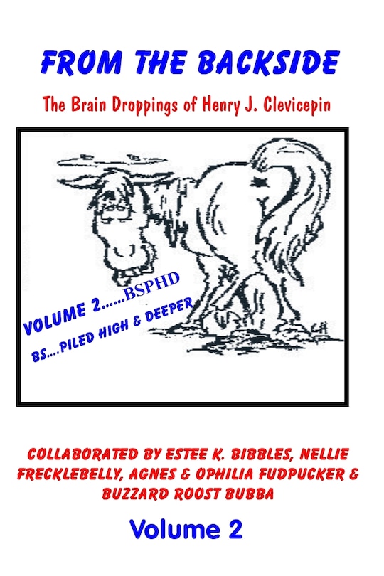 Front cover_From the Backside - Volume 2