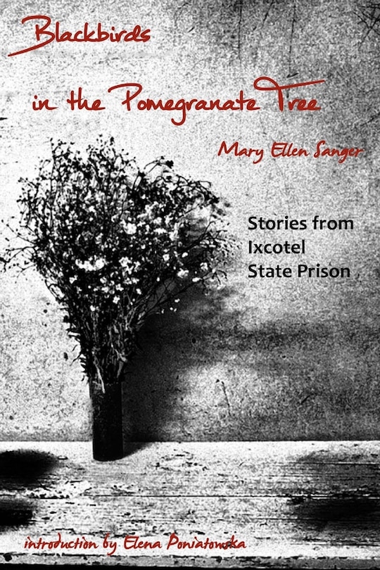 Front cover_Blackbirds in the Pomegranate Tree